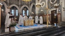 Messe d'ouverture des Journées Saint François de Sales à Lourdes, 25 janvier 2023