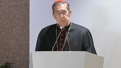 "Los creyentes de diferentes tradiciones religiosas, caminando juntos por la senda del diálogo interreligioso, pueden ofrecer realmente su contribución a la fraternidad universal", afirmó el cardenal Ayuso.