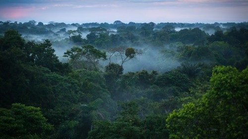 Una vista de la selva amazónica.