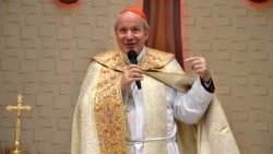 Am nächsten Sonntag wird der Wiener Erzbischof Schönborn den „Sonntag der Barmherzigkeit“ feiern