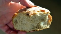 La 17.ma Giornata per la Custodia del Creato è incentrata sul tema "Prese il pane, rese grazie. Il tutto nel frammento”.