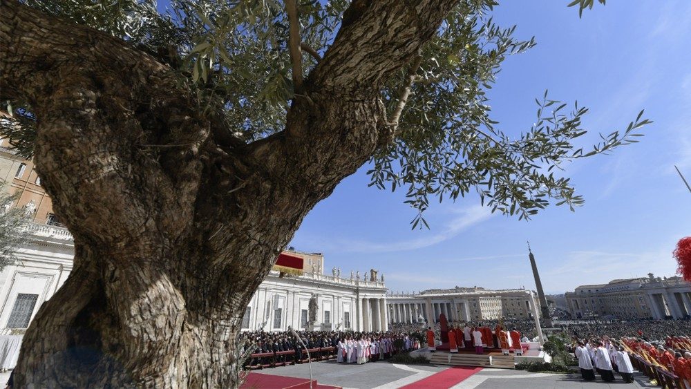 2018.03.25 - Piazza San Pietro - Celebrazione della Domenica delle Palme e della Passione del Signore