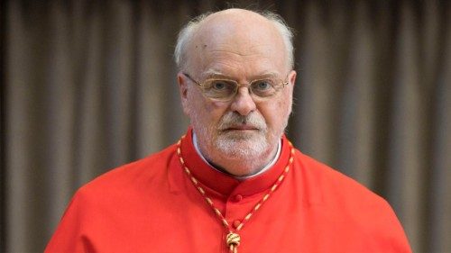 Le cardinal Anders Arborelius élu «Suédois de l’année»