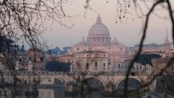 Panoramica con la cupola di San Pietro