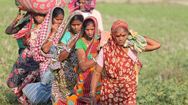 Indiai nők dolgoznak az Orissza állambeli földeken