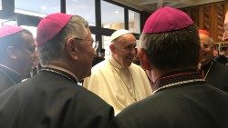 Archivbild: Der Papst und brasilianische Bischöfe bei der Amazonas-Synode im Oktober