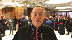 Il cardinale Óscar Andrés Rodríguez Maradiaga