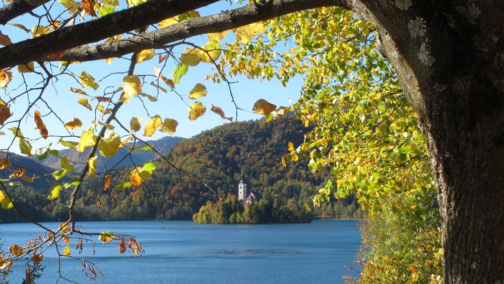 2018.11.15 Bled, autunno, creato, natura, chiesa, lago, colori