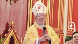 Mgr Vu Van Thien l'archevêque de Hanoï.