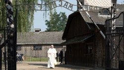 Pope Francis walks through the gates of the Nazi death camp at Auschwitz during his visit to the Memorial in 2016 (file photo)