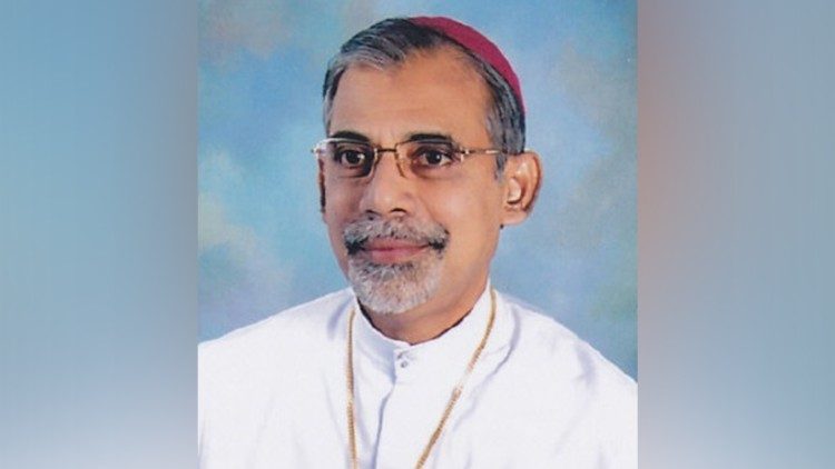 Cardeal Filipe Neri Ferrao, Arcebispo de Goa
