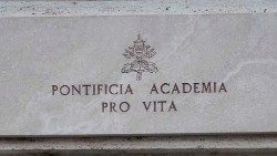 L'Académie pontificale pour la vie a été fondée par le Pape Jean-Paul II le 11 février 1994, par le motu proprio Vitae Mysterium. 