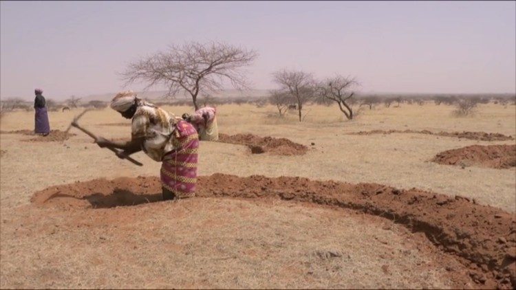 非洲萨赫勒干旱地区