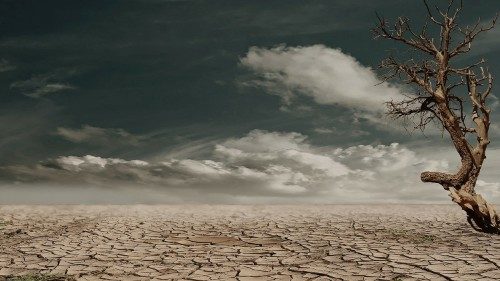 Una tierra partida por la sequía