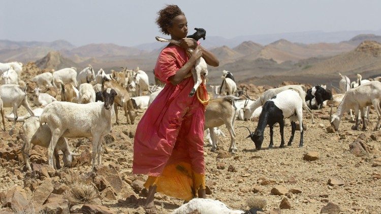 सोमालिया में पशु चराती एक महिला