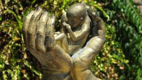 New Zealand Bishops warn proposed bill will remove rights of the unborn