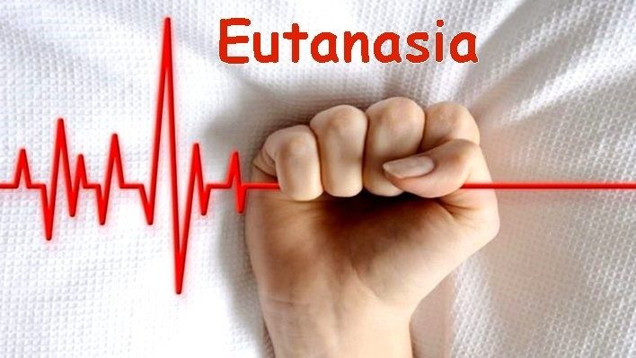 2019.06.06 Eutanasia