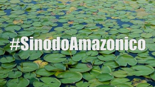 Synode sur l’Amazonie : l’Eglise appelée à se faire «le cri des pauvres»