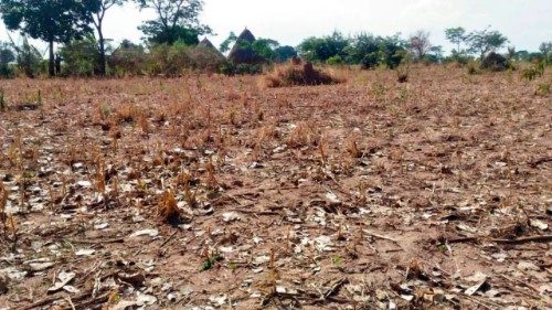 Secas e carestia no sul de Angola
