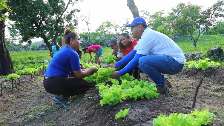 유엔 세계식량계획이 후원하는 엘살바도르의 지속가능한 전통 농업