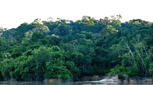 2019.08.09 foresta pluviale Amazzonia