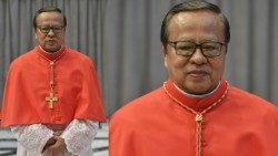 الكاردينال سوهاريو: إندونيسيا تنتظر البابا بحماس