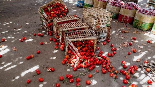 Landwirtschaftliche Verluste und Lebensmittelverschwendung stoppen