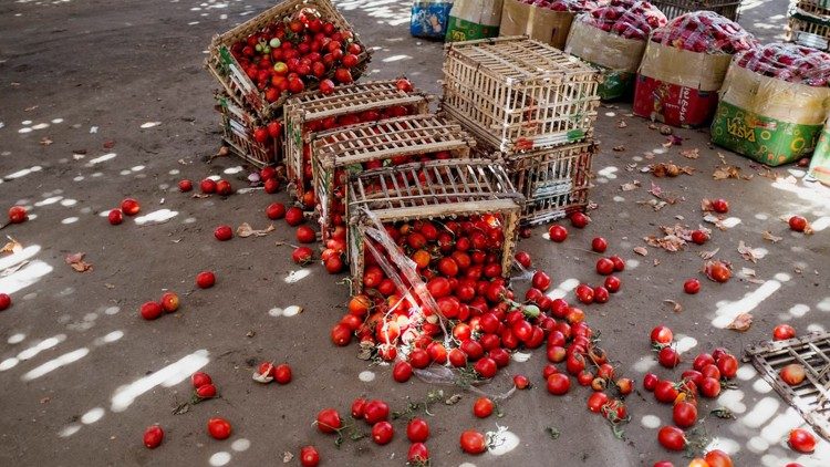 2019.10.14 Il monito della Fao: stop alle perdite in agricoltura e agli sprechi alimentari