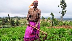 Le donne rurali possono essere nel mondo protagoniste di un cambiamento a partire dalle loro comunità