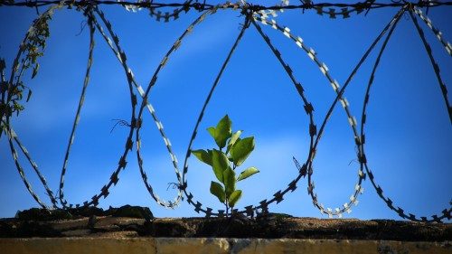 Donne e carcere, quando “Le sbarre non fermano i pensieri”