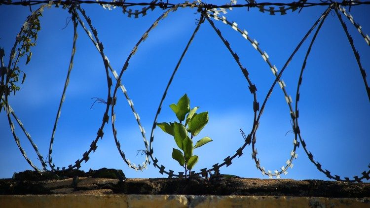 Per la Giornata internazionale della Donna ricordiamo la difficile condizione delle detenute