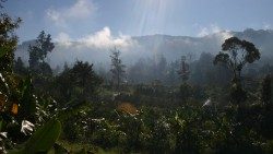 Papua Zachodnia: łamanie praw ludów tubylczych 