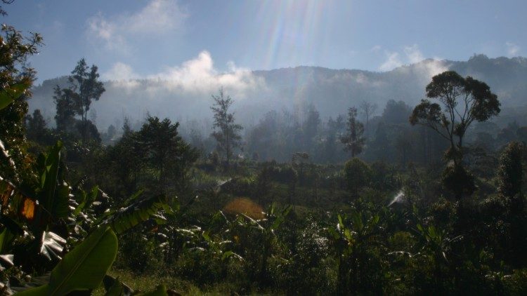 Papua Zachodnia: łamanie praw ludów tubylczych 
