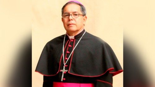 Monseñor Luis José Rueda Aparicio, Colombia