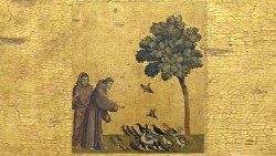 Sveti Frančišek hrani ptice, medtem ko ga učenec opazuje.