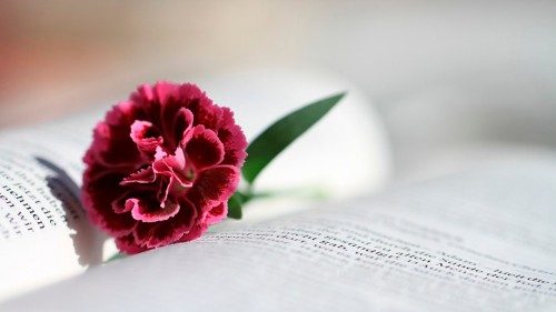 A flower rests upon an open Bible