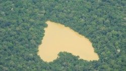 Vue aérienne sur un lac d'Amazonie