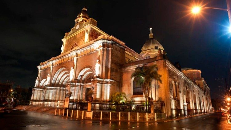 Manila Cathedral by night. 