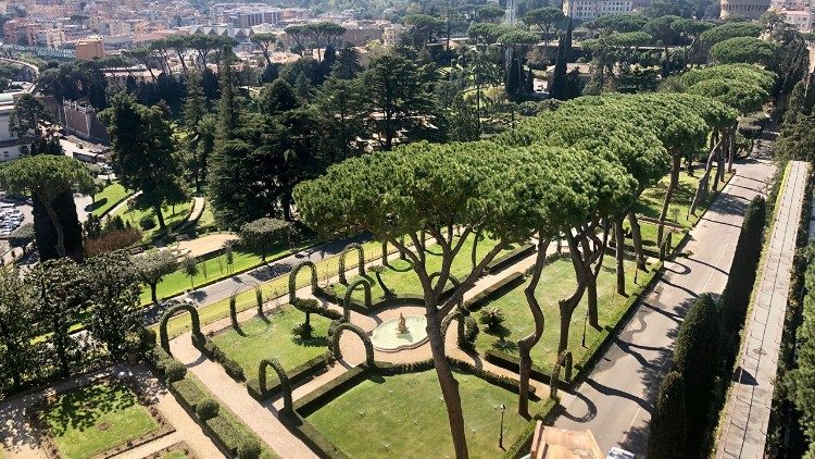 A glimpse of the Vatican Gardens