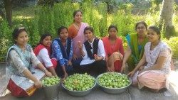 Récolte bio de la communauté de Patna