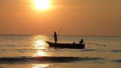 Der Weltfischereitag wird am 21. November begangen