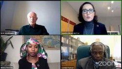 Screenshot of speakers during the webinar on "Faith, Science and Youth - A call for an ambitious Climate Summit" 