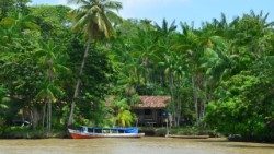 Schutz des Regenwalds, seiner Bewohner und des gesamten Ökosystems: Thema beim großen Amazoniengipfel in Belém 