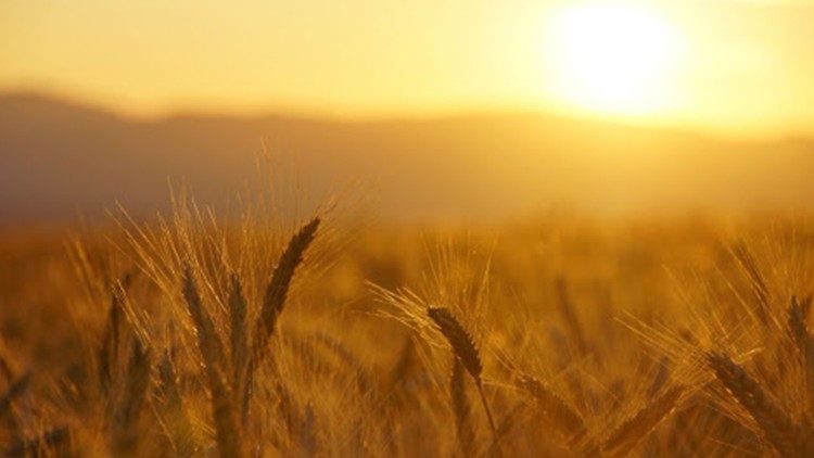 "Ako pšenično zrno, pavši na zemlju, umre, donosi obilat rod" (Iv 12, 20-33).