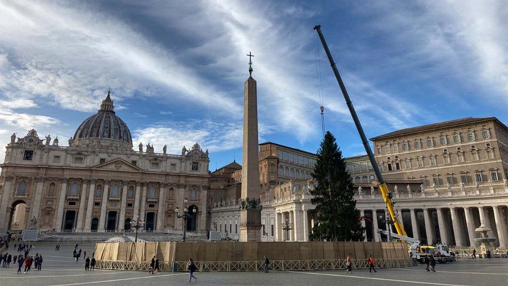 Inštalácia vianočného stromčeka na Námestí sv. Petra (23. nov. 2021)