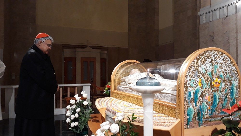 Cardinal Marcello Semeraro pays tribute before the reliquary of Blessed James Alberione