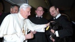 Pope Benedict XVI strokes a cat during his apostolic visit to England and Wales in 2010