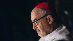 Kardinál Michael Czerny, SJ, prefekt Dikasteria pro podporu integrálního lidského rozvoje