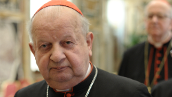 Card. Stanislaw Dziwisz, Arzobispo emérito de Cracovia.