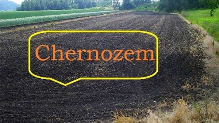 Chernozem கருப்பு நிலம்